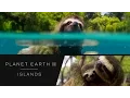 Swimming sloth - Planet Earth II Islands
