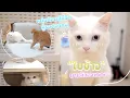 Download Lagu หนุ่มน้อยสู้ชีวิต ผู้รอดจากงู \