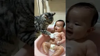 لما تروح تحمي ابنك الصغير و تلاقي القطة بتحميه 