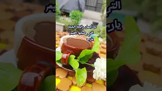 شتت الدنيا ياحبيبي جورج خباز 