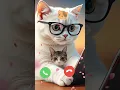 Download Lagu Cute Baby Cat Ringtone 🎶#shorts #ringtone #cat