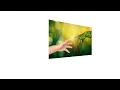 3D Flip Image Hover Effects using CSS only CSS n-th child function