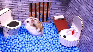 Hamster escapes the awesome maze for Pets in real life in Hamster stories Part 2