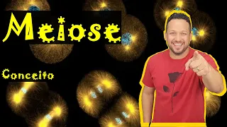 Meiose - Conceito - Divisão Celular - Citologia