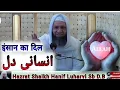 “ Dil ka Sokoon ❤️ | Hadhrat Shaikh Hanif Luharvi Sb D.B