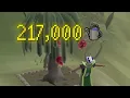 BEST Farming XP Tree Run Guide