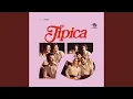 Tintorera