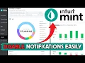 How to Disable Notifications in Mint 2025