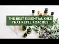 The Best Essential Oils that Repel Roaches