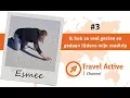 Download Lagu Au pair Esmee maakt een roadtrip door New Mexico en Texas| vlog 3 |Travel Active Channel Au Pair