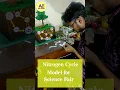 Nitrogen cycle model science project