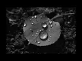 Haru (slowed) — Ryuichi Sakamoto and Fennesz