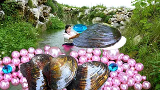 😱😱Pry open the giant clam, inside it is pregnant with countless pink pearls, extremely charming