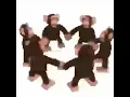 Download Lagu Happy monkey circle 10 HOURS