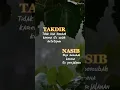 Download Lagu takdir dan nasib