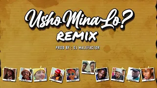dj malefactor ushomina lo remix ft siya shezi froz leverage maseven infektist ndlaviini ciwe