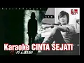 Download Lagu KARAOKE ARI LASSO CINTA SEJATI