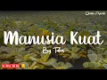 Download Lagu Manusia Kuat - Tulus ( Lirik )