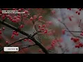 [Melodic House] Falden - One Day