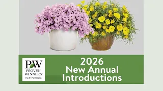 Meet Proven Winners New 2026 Annuals