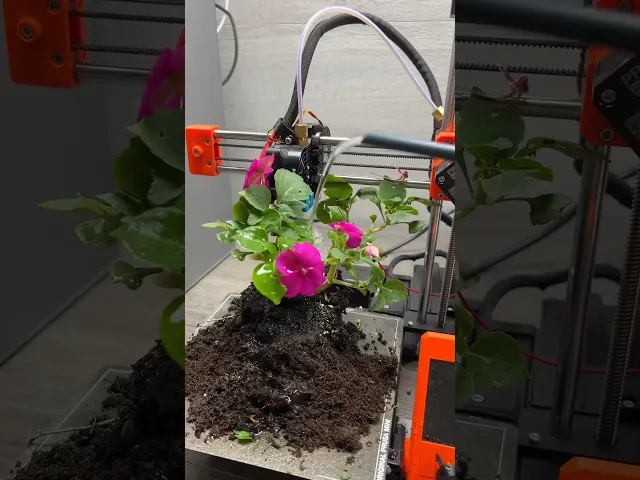 Seedling Greenhouse video thumbnail