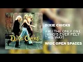 The Chicks - Am I the Only One (Who's Ever Felt This Way) (Official Audio)