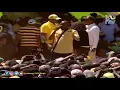 Download Lagu Starehe MP Jaguar performs hits song 'Kigeugeu' in Nakuru