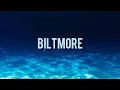 Download Lagu Biltmore, Whissell - Feel Something Good (Lyrics)