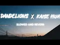 Lagu DANDELIONS x KAISE HUA - [SLOWED AND REVERB]