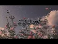 Fen Layalik فين لياليك | Fadel Shaker فاضل شاكر | translated into English 🎶⭐