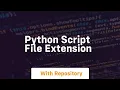 python script file extension