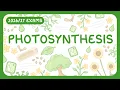 GCSE Biology - Photosynthesis exams