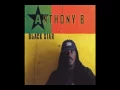 Anthony B - World a Reggae Music