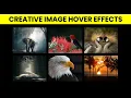 How To Create Image Hover Effects Using Html and CSS