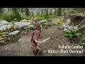 Skyrim Maxsu s Block Overhaul soft incompatibilities with Valhalla Combat