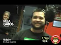Riddim - En tus manos - Reggae en PelaGatos