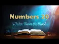 The Book of Numbers Chapter 20 Water From the Rock NIV Bible