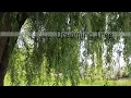 Download Lagu Dreaming Tree