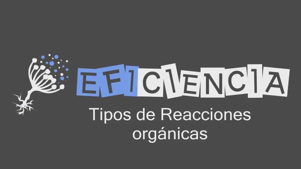 TIPOS DE REACCIONES ORGÁNICAS. Sustitución Adición Eliminación Combustion Esterificación