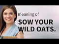 Understanding Sow Your Wild Oats