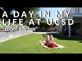 A Day in my Life at UCSD online
