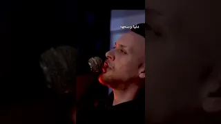 عدي زاغة دنيا وسخه وسختها ناس كتير 