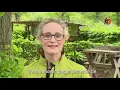 Download Lagu WTD2019_Limburgs landschap_SeHD.mp4