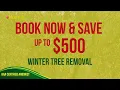 Winter Tree Removal 2025 Huff s Tree Service
