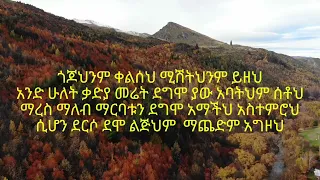 Yomaryos Geter Giba ገጠር ግባ Lyrics Vidios 