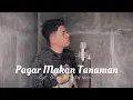 Download Lagu Pagar Makan Tanaman - Mansyur s | Cover by Abi Arrazy