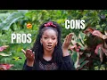 ALL ABOUT DATING IN JAMAICA Men to avoid what to expect experiences Relationships tips
