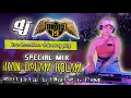 Download Lagu SPECIAL GUEST DJ SHINTA BILQIS BPM - IKAN DALAM KOLAM .. !!!  OT DP 19 LIVE TABUNG PALEMBANG