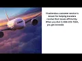 Viva Airbus Customer Service Number
