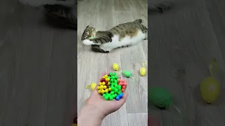 Cat Barsik 🔔🌈 Beads Marbles 🔥 Reverse video